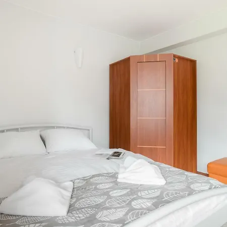 Rent Like - Krzeptowskiego *